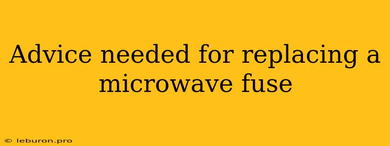 Advice Needed For Replacing A Microwave Fuse