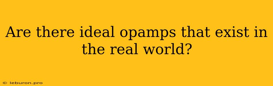 Are There Ideal Opamps That Exist In The Real World?