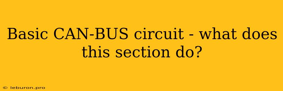 Basic CAN-BUS Circuit - What Does This Section Do?