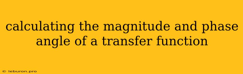 Calculating The Magnitude And Phase Angle Of A Transfer Function