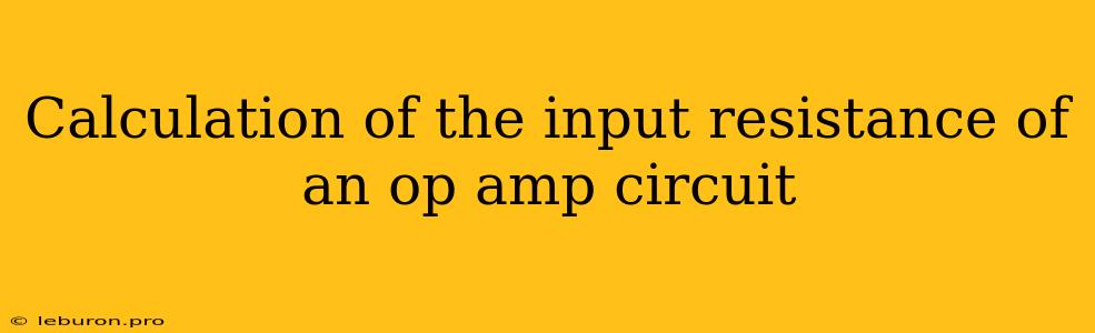 Calculation Of The Input Resistance Of An Op Amp Circuit