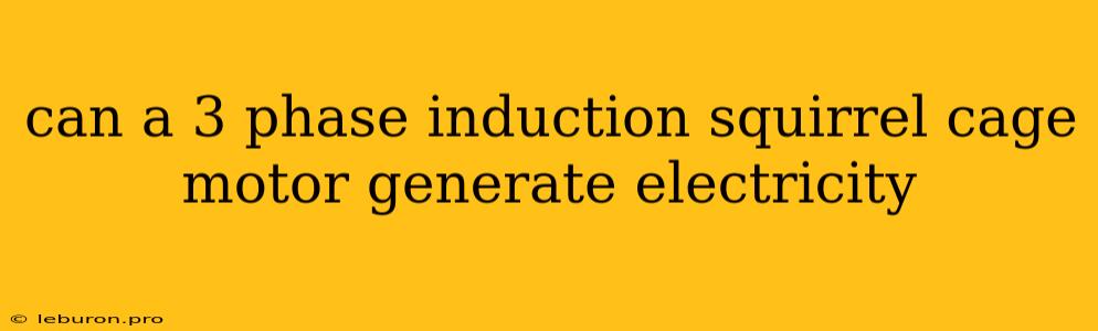 Can A 3 Phase Induction Squirrel Cage Motor Generate Electricity