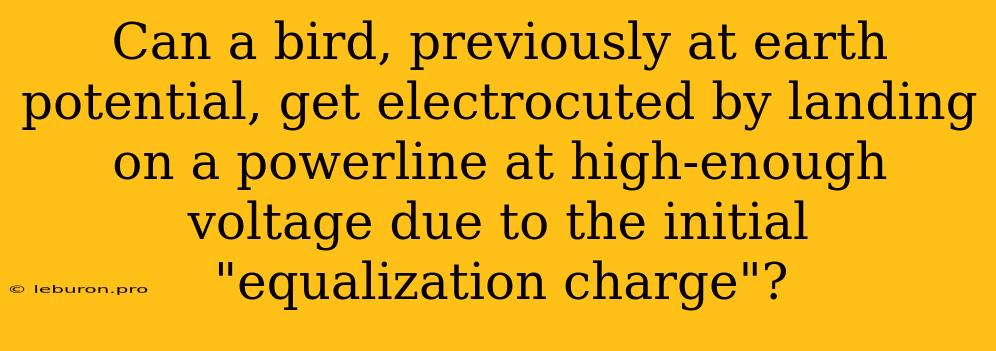 Can A Bird, Previously At Earth Potential, Get Electrocuted By Landing On A Powerline At High-enough Voltage Due To The Initial 