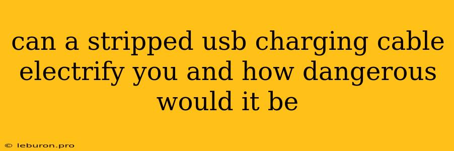 Can A Stripped Usb Charging Cable Electrify You And How Dangerous Would It Be