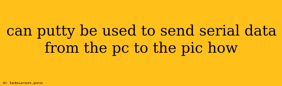 Can Putty Be Used To Send Serial Data From The Pc To The Pic How