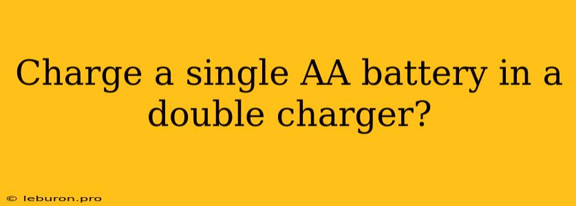 Charge A Single AA Battery In A Double Charger?