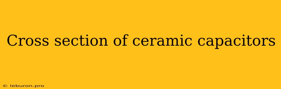 Cross Section Of Ceramic Capacitors