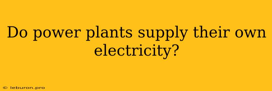 Do Power Plants Supply Their Own Electricity?