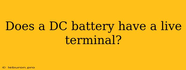 Does A DC Battery Have A Live Terminal?