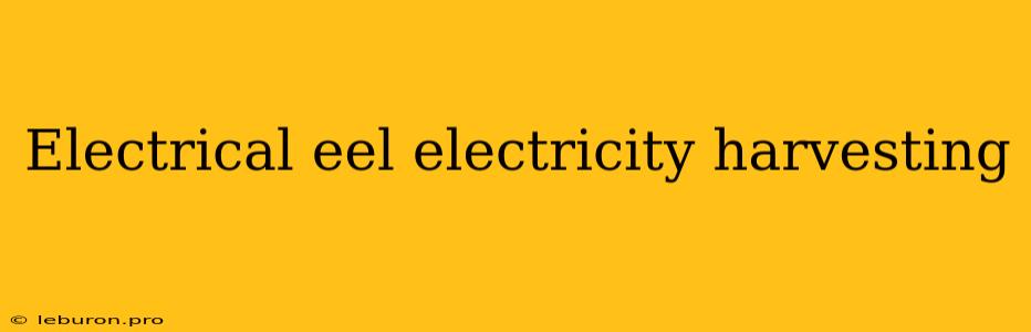 Electrical Eel Electricity Harvesting