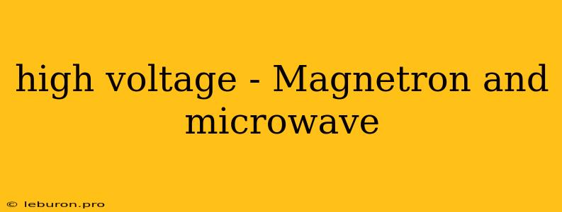 High Voltage - Magnetron And Microwave