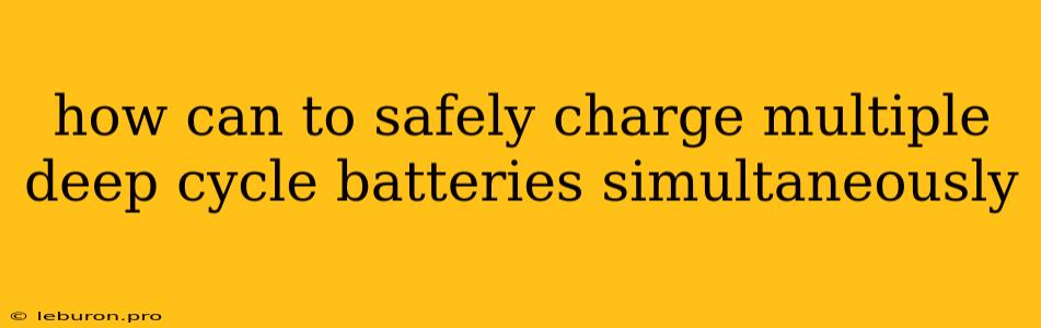 How Can To Safely Charge Multiple Deep Cycle Batteries Simultaneously