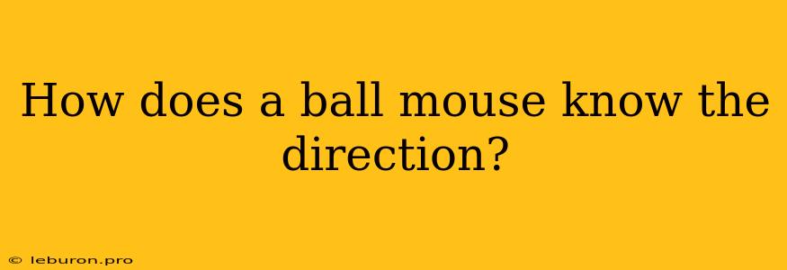 How Does A Ball Mouse Know The Direction?