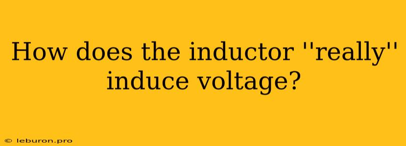 How Does The Inductor ''really'' Induce Voltage?