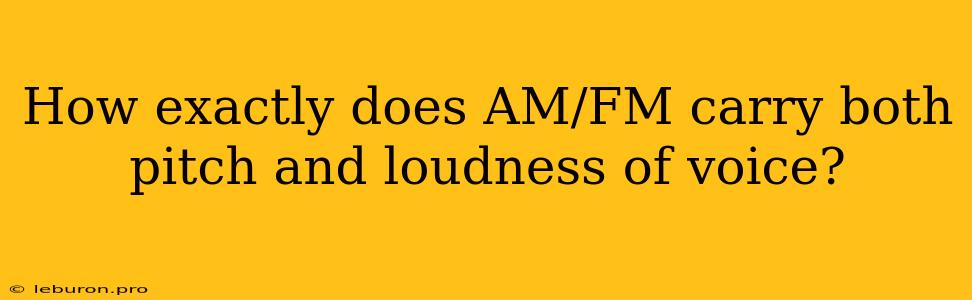 How Exactly Does AM/FM Carry Both Pitch And Loudness Of Voice?