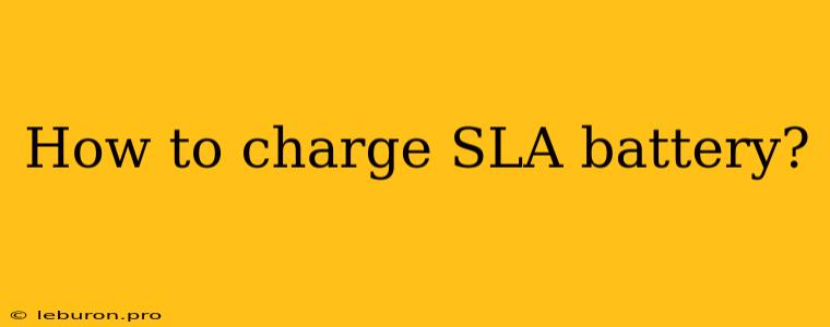 How To Charge SLA Battery?