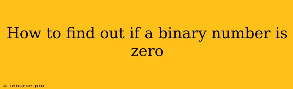 How To Find Out If A Binary Number Is Zero