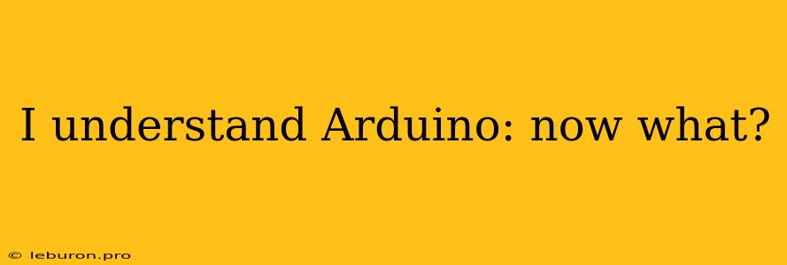 I Understand Arduino: Now What?