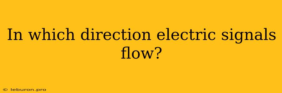 In Which Direction Electric Signals Flow?