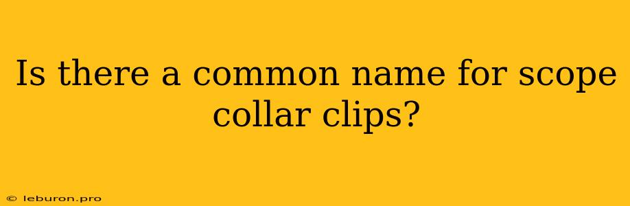 Is There A Common Name For Scope Collar Clips?