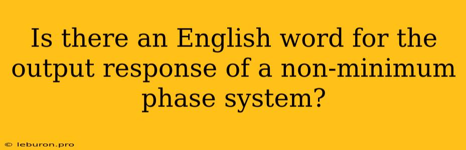 Is There An English Word For The Output Response Of A Non-minimum Phase System?