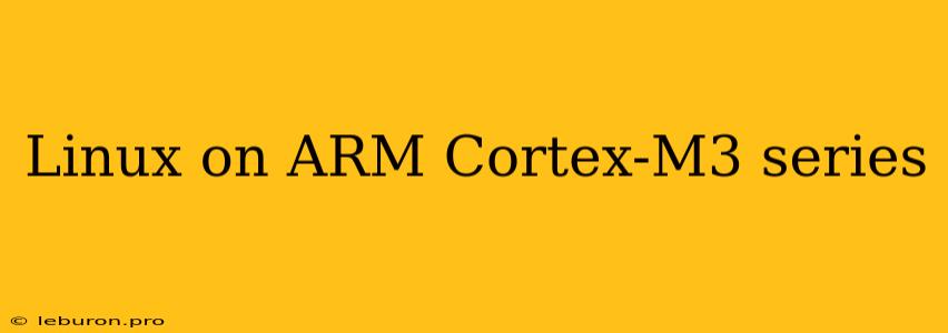 Linux On ARM Cortex-M3 Series