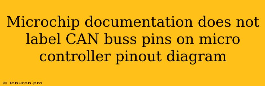 Microchip Documentation Does Not Label CAN Buss Pins On Micro Controller Pinout Diagram