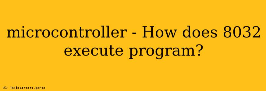 Microcontroller - How Does 8032 Execute Program?