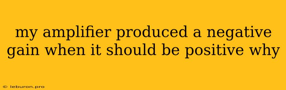 My Amplifier Produced A Negative Gain When It Should Be Positive Why