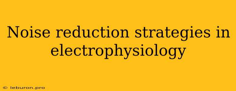 Noise Reduction Strategies In Electrophysiology