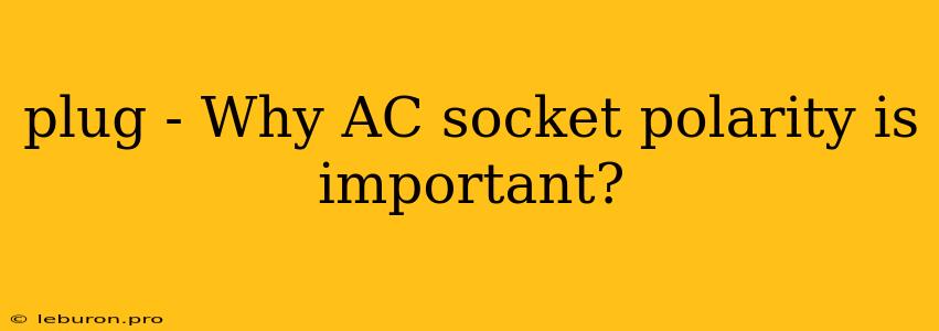 Plug - Why AC Socket Polarity Is Important?