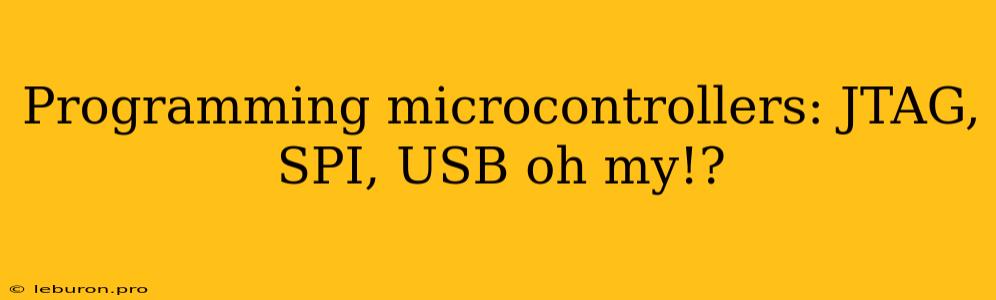 Programming Microcontrollers: JTAG, SPI, USB Oh My!?