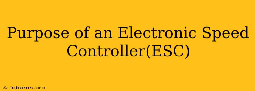 Purpose Of An Electronic Speed Controller(ESC)