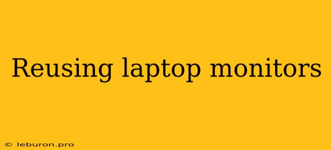 Reusing Laptop Monitors