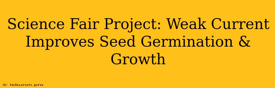 Science Fair Project: Weak Current Improves Seed Germination & Growth