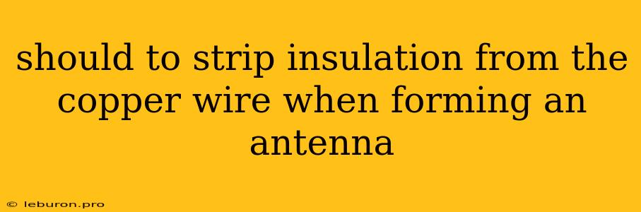 Should To Strip Insulation From The Copper Wire When Forming An Antenna