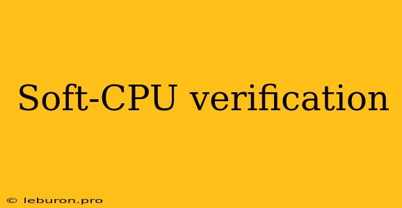 Soft-CPU Verification