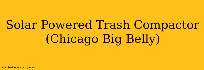 Solar Powered Trash Compactor (Chicago Big Belly)