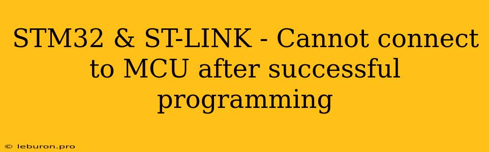 STM32 & ST-LINK - Cannot Connect To MCU After Successful Programming