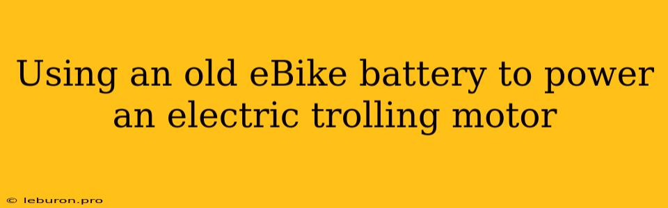 Using An Old EBike Battery To Power An Electric Trolling Motor