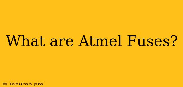 What Are Atmel Fuses?