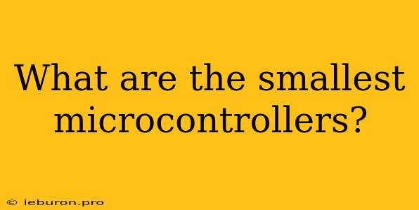 What Are The Smallest Microcontrollers? 