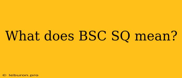 What Does BSC SQ Mean?