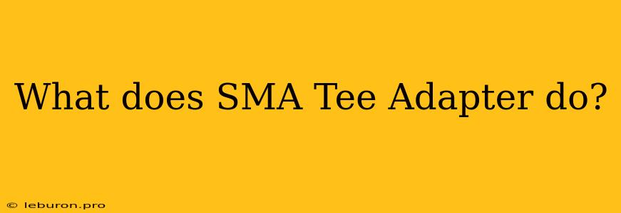 What Does SMA Tee Adapter Do?