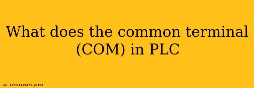 What Does The Common Terminal (COM) In PLC