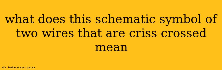 What Does This Schematic Symbol Of Two Wires That Are Criss Crossed Mean