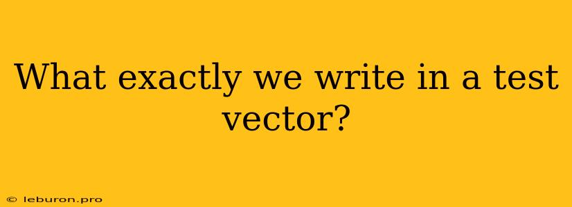 What Exactly We Write In A Test Vector?