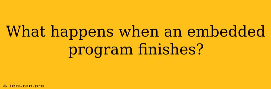 What Happens When An Embedded Program Finishes?