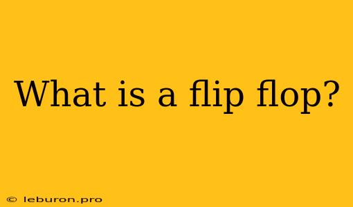 What Is A Flip Flop?