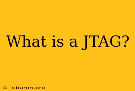 What Is A JTAG?